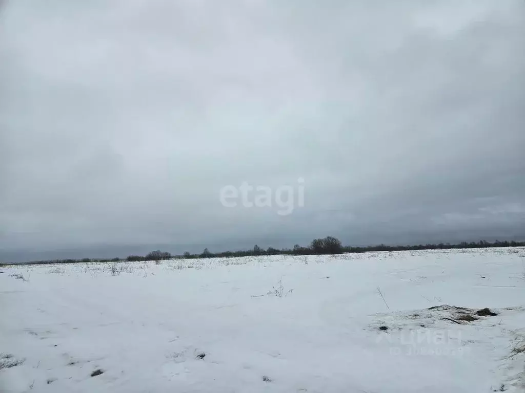 Участок в Коми, Сыктывдинский район, с. Выльгорт  (11.4 сот.) - Фото 1