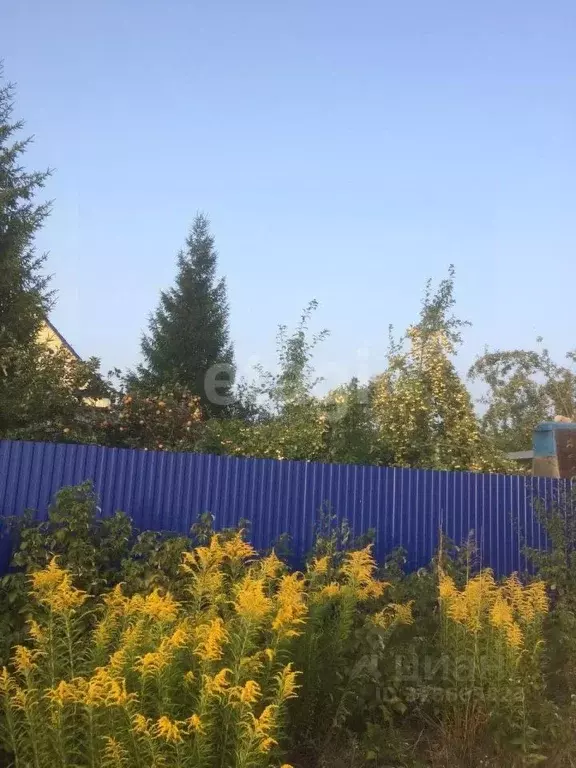 Дом в Башкортостан, Чишминский район, Алкинский сельсовет, ... - Фото 1