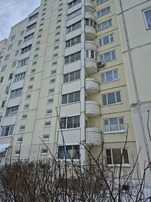 1-к кв. Московская область, Щелково городской округ, д. Медвежьи Озера ... - Фото 1