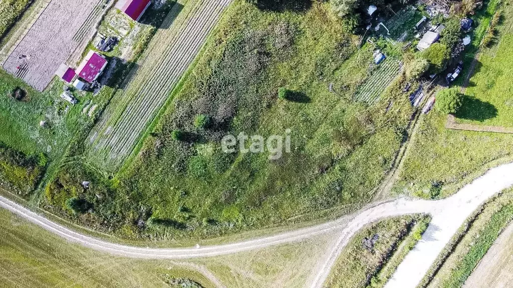 Участок в Ленинградская область, Ломоносовский район, Гостилицкое ... - Фото 1