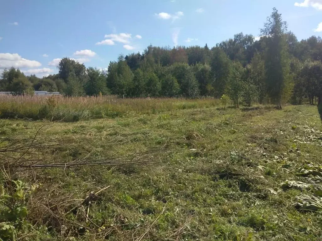 Участок в Московская область, Дмитровский городской округ, д. ... - Фото 0