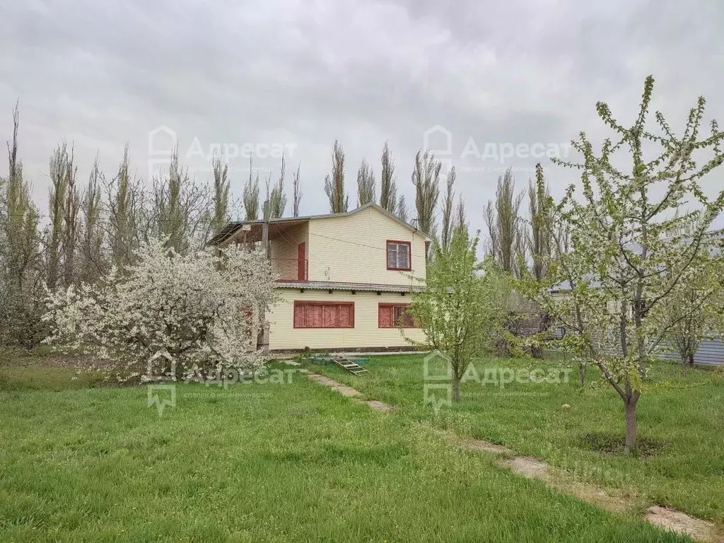 Дом в Волгоградская область, Калачевский район, Ильевское с/пос, ... - Фото 1