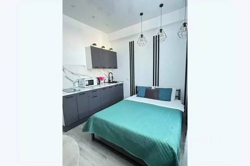 1-к кв. Татарстан, Казань ул. Абжалилова, 1/82 (22.0 м) - Фото 2