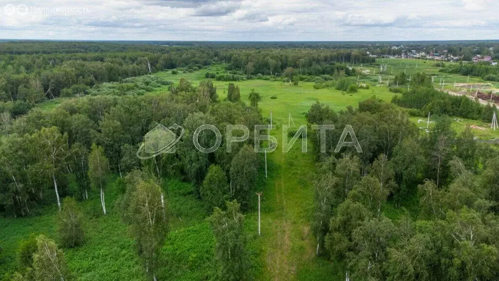 Участок в Тюмень, территория СОСН Автоприбор, Берёзовая улица (5 м) - Фото 1