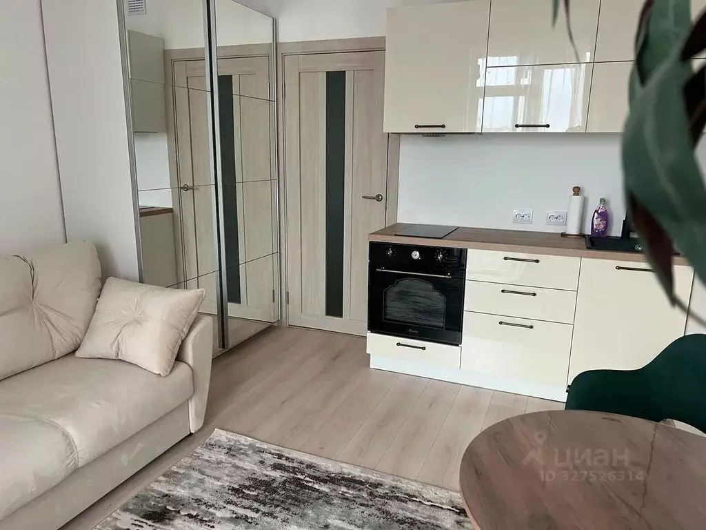 Студия Санкт-Петербург аллея Арцеуловская, 9 (23.0 м) - Фото 1