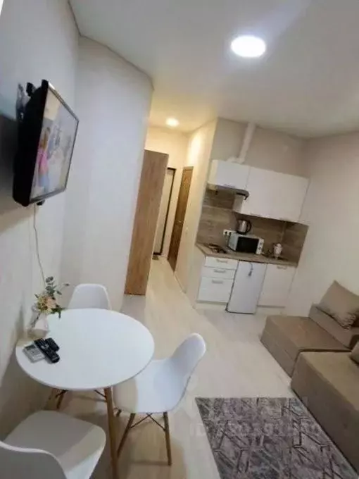 Студия Новосибирская область, Новосибирск ул. Ватутина, 45/1 (27.4 м) - Фото 1