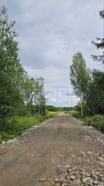 Участок в Пермский край, Краснокамский муниципальный округ, пос. ... - Фото 1