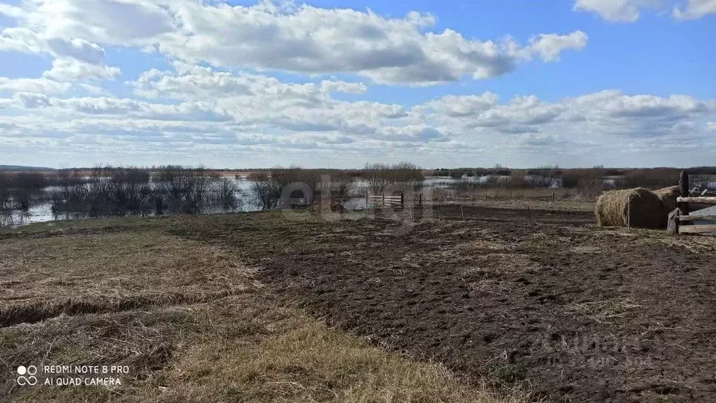 Участок в Тюменская область, Исетский муниципальный округ, д. Малыши  ... - Фото 1