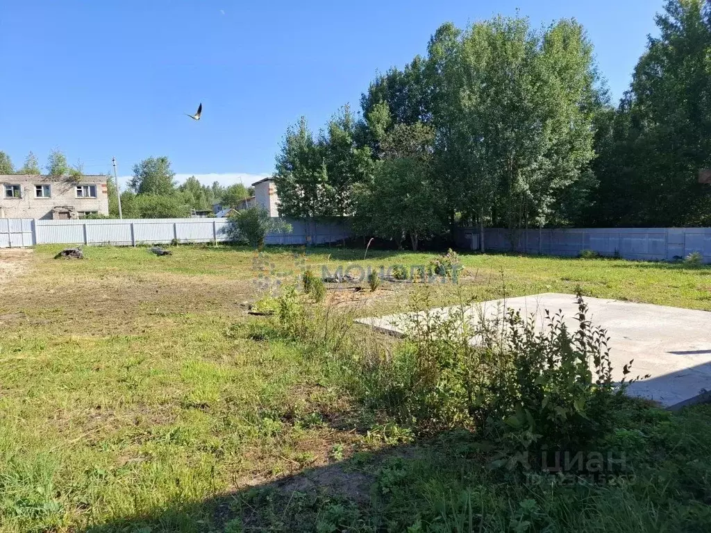 Участок в Нижегородская область, Семеновский муниципальный округ, д. ... - Фото 2