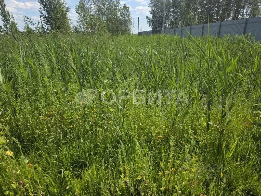 Участок в Тюменская область, Тюменский муниципальный округ, д. Якуши, ... - Фото 2