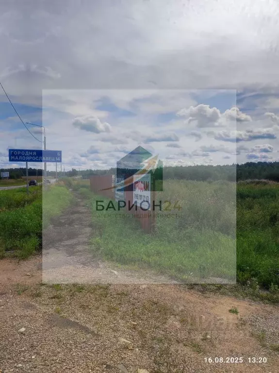 Участок в Калужская область, Совхоз Боровский с/пос, д. Тимашово ул. ... - Фото 2