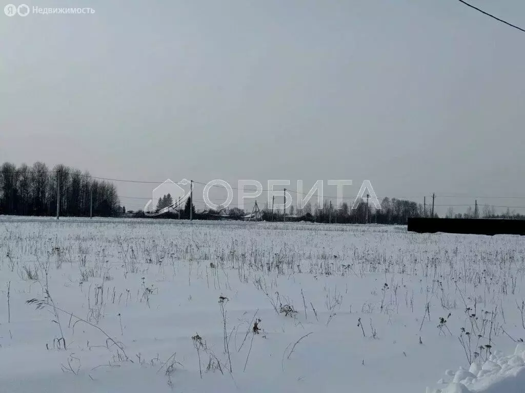 Участок в Тюменский район, село Богандинское (7.5 м) - Фото 1