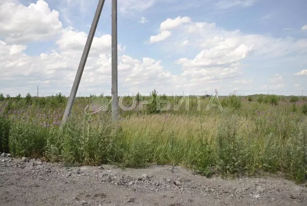 Участок в Тюменская область, Тюменский район, д. Малиновка  (15.0 ... - Фото 1