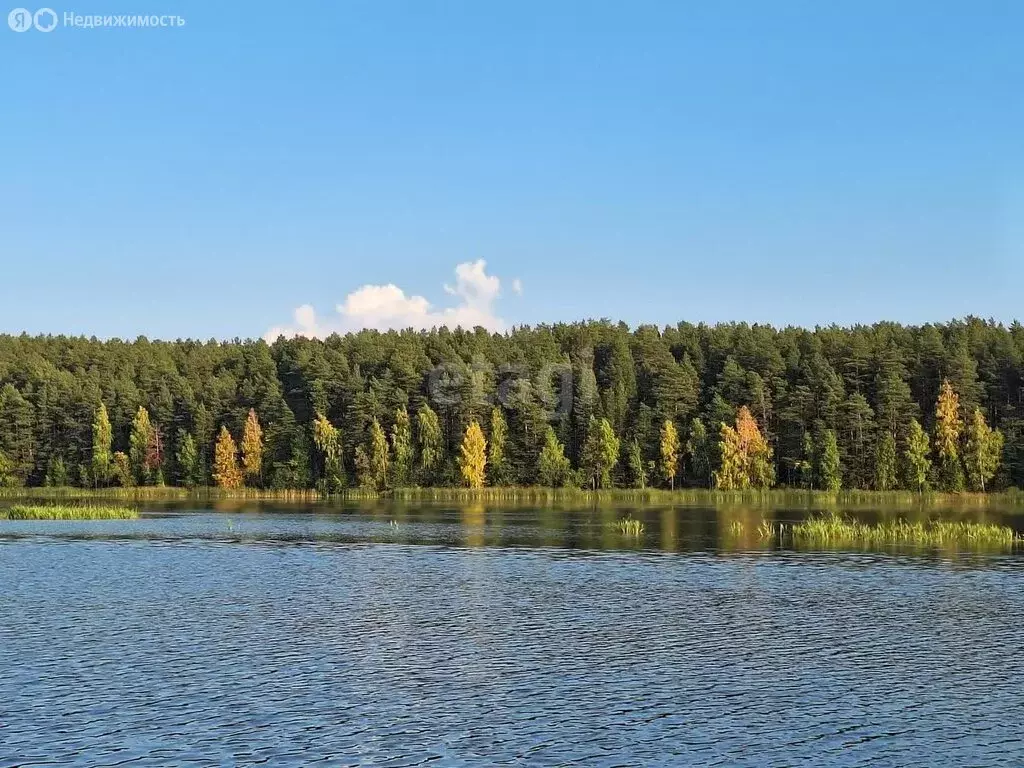 Дом в Нижний Тагил, Вишнёвая улица (40.4 м) - Фото 1