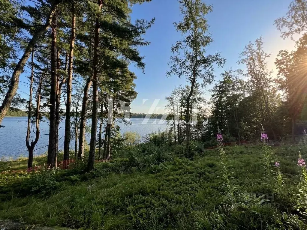 Участок в Ленинградская область, Всеволожский район, Куйвозовское ... - Фото 1