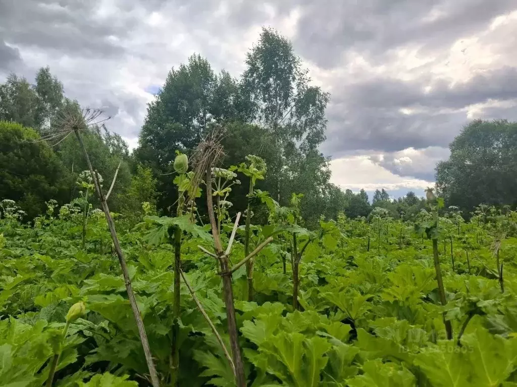 Участок в Московская область, Сергиево-Посадский городской округ, д. ... - Фото 2