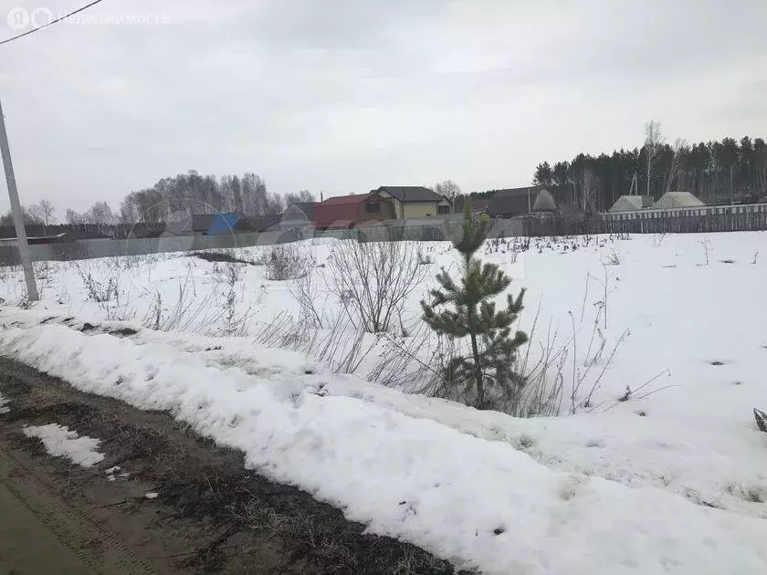 Участок в Тюменский район, село Княжево (6.5 м) - Фото 0