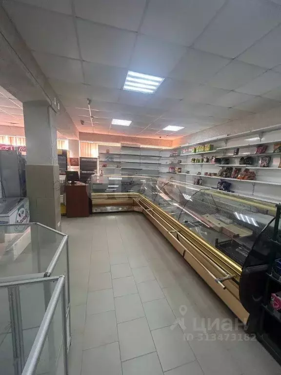 Торговая площадь в Крым, Евпатория городской округ, Заозерное пгт ул. ... - Фото 0
