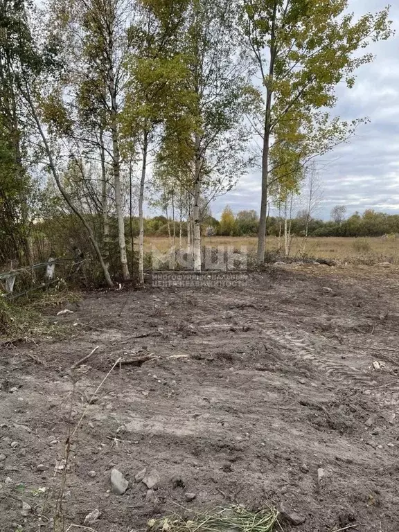 Участок в Карелия, Прионежский район, с. Заозерье  (14.91 сот.) - Фото 1