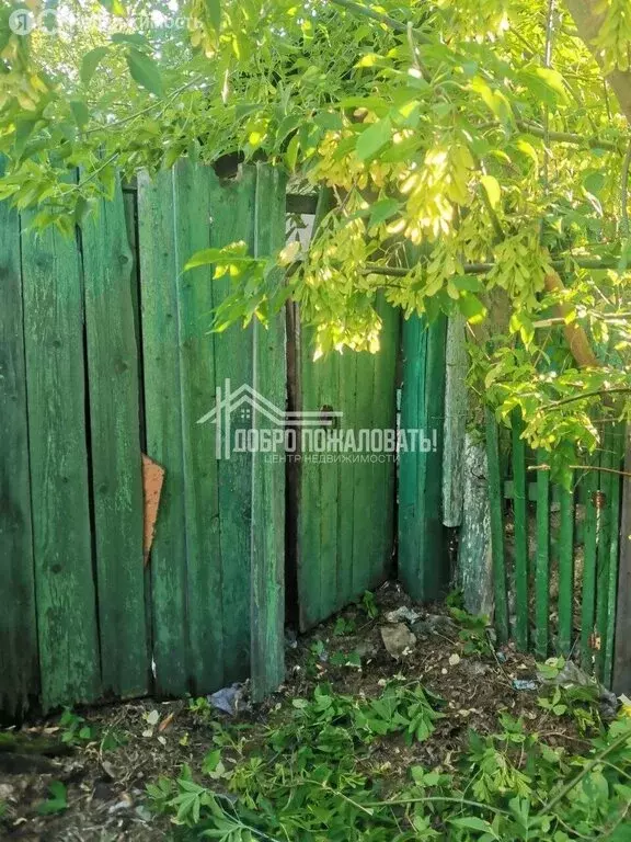 Дом в Абакан, улица Бограда, 69 (57.8 м) - Фото 0