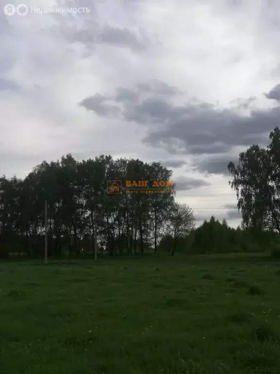 Участок в деревня Ямны, 91 (10 м) - Фото 2