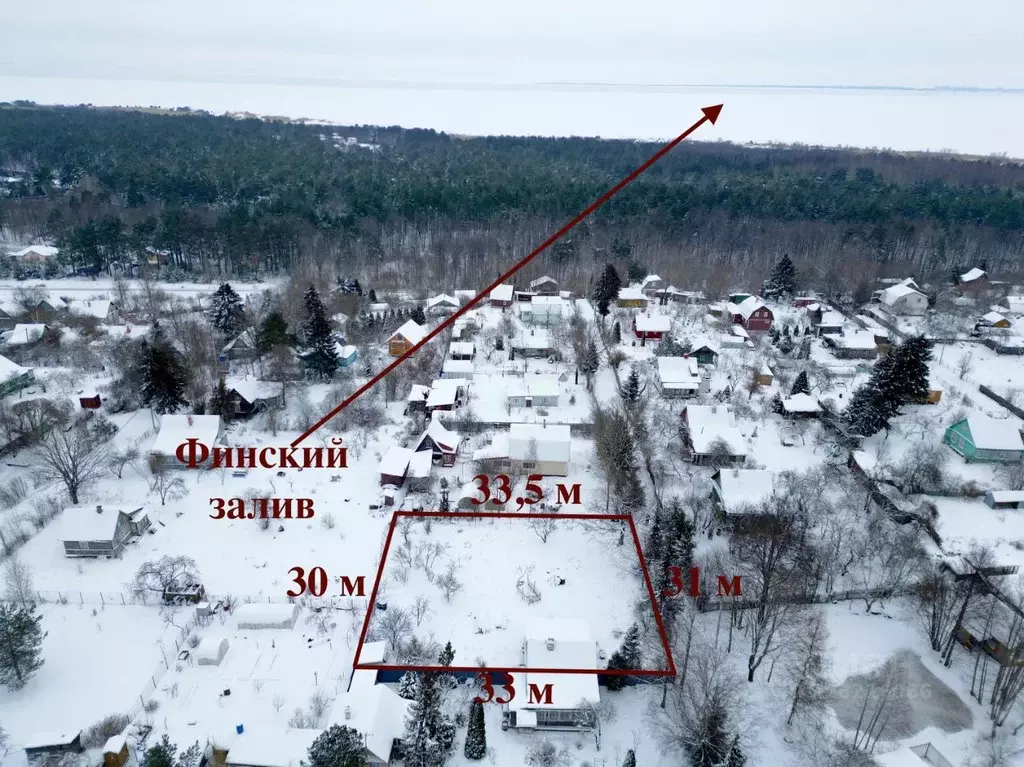 Участок в Ленинградская область, Ломоносовский район, Пениковское ... - Фото 2