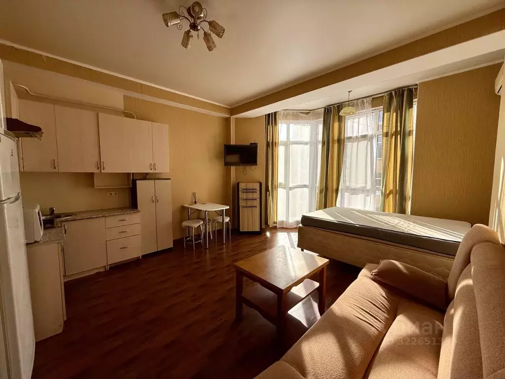 Студия Краснодарский край, Сочи городской округ, с. Раздольное ул. ... - Фото 2