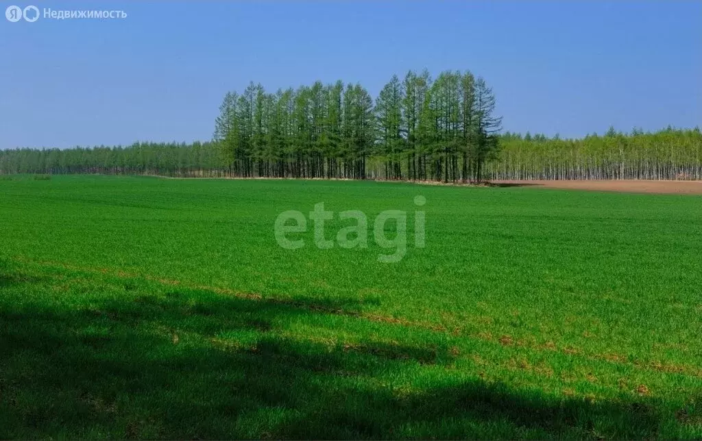 Участок в округ Муром, деревня Ожигово (479 м) - Фото 1