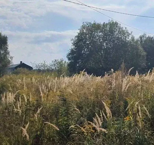 Участок в Московская область, Щелково городской округ, д. Дуброво  ... - Фото 0