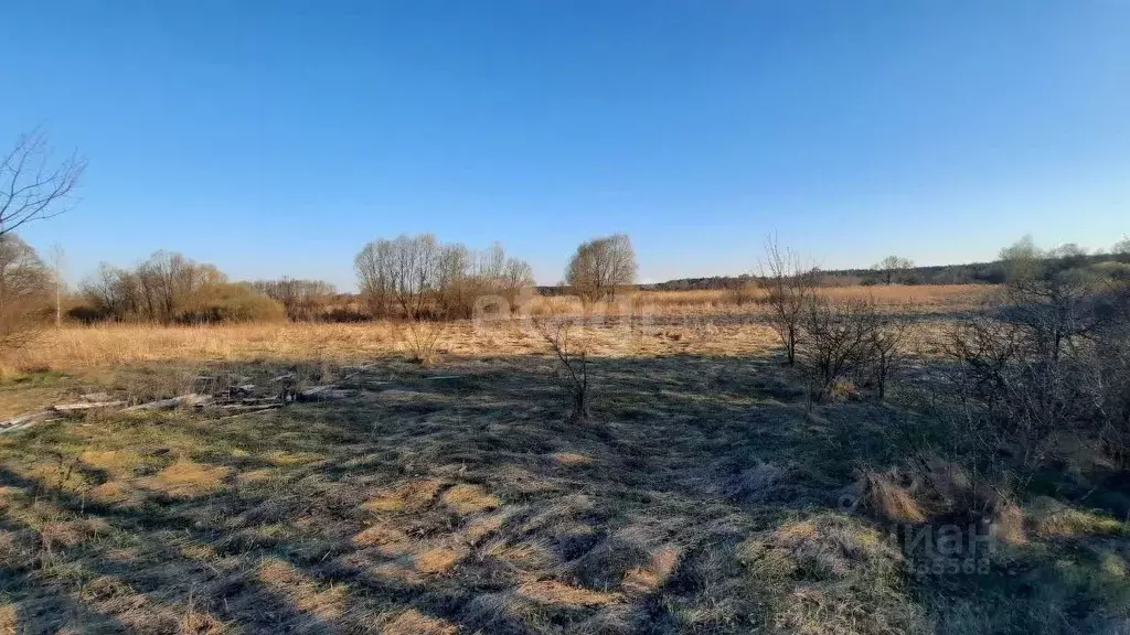 Участок в Белгородская область, Валуйский городской округ, с. Храпово  ... - Фото 1