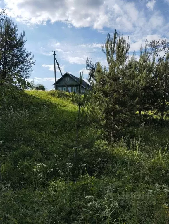Дом в Новгородская область, Валдайский район, Костковское с/пос, д. ... - Фото 2
