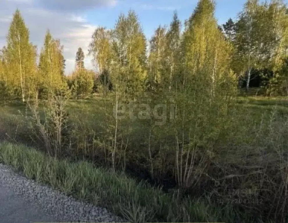 Участок в Тюменская область, Тюменский район, с. Перевалово  (8.4 ... - Фото 1