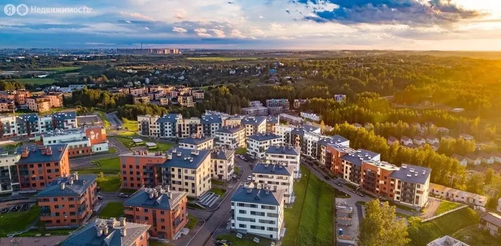 1-комнатная квартира: Мистолово, Горная улица, 25к2 (35 м) - Фото 1