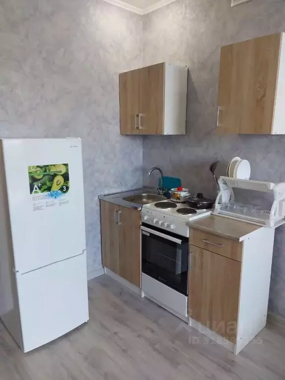 Студия Краснодарский край, Краснодар ул. Шевцова, 36/2 (25.0 м) - Фото 1