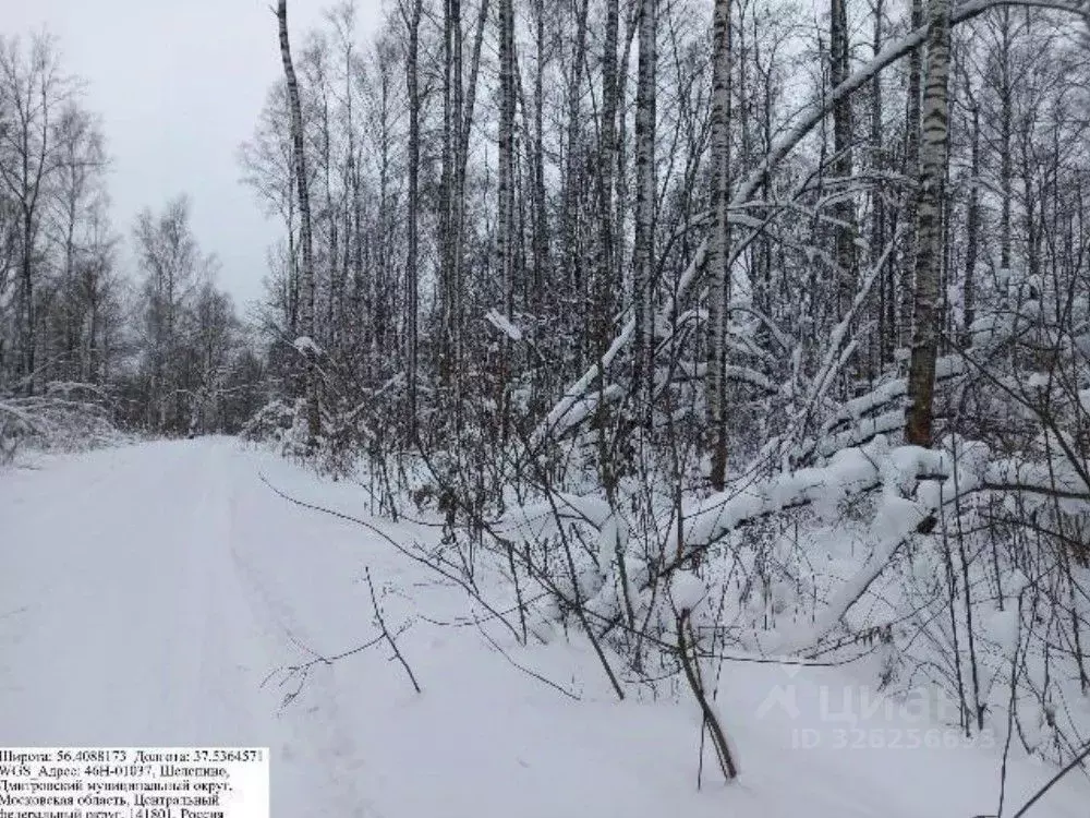 Участок в Московская область, Дмитровский муниципальный округ, д. ... - Фото 1