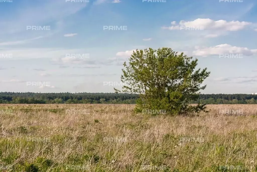 Участок в Московская область, Истра городской округ, д. Чесноково, ... - Фото 1