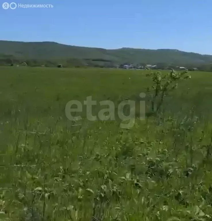 Участок в Краснодарский край, Новороссийск (237 м) - Фото 2