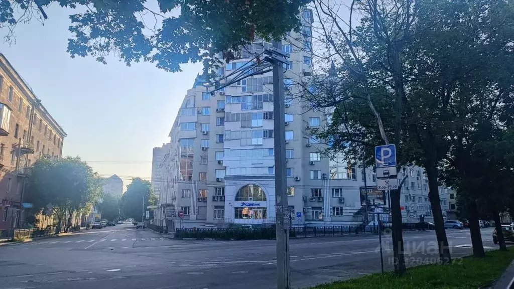 3-к кв. Воронежская область, Воронеж Никитинская ул., 49А (112.9 м) - Фото 1