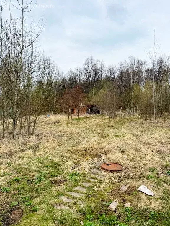 Участок в Одинцовский городской округ, деревня Ямищево (6.3 м) - Фото 1
