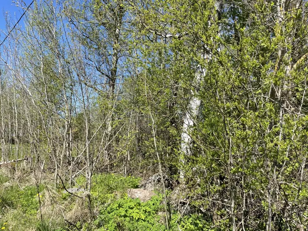 Участок в Псковская область, Гдовский район, Добручинская волость, ... - Фото 2