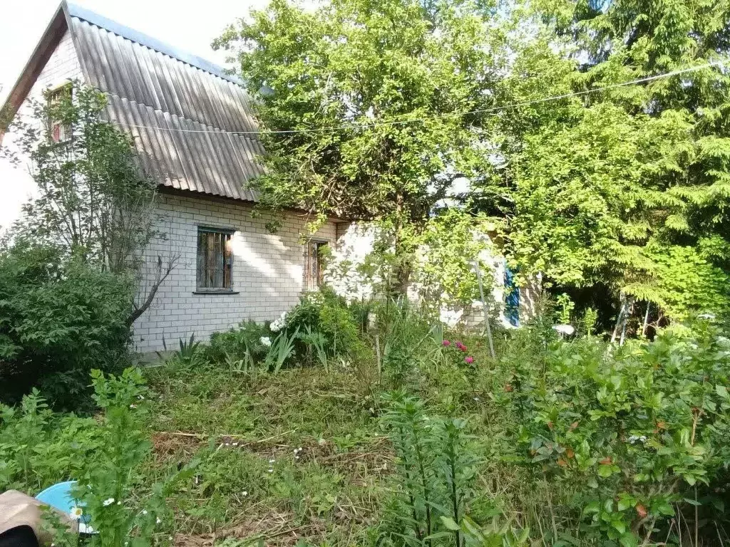 Участок в Смоленская область, Смоленск Дубровенское садоводческое ... - Фото 1