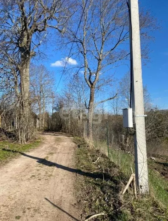 Дом в Псковская область, Палкинская волость, д. Бенево  (15 м) - Фото 1