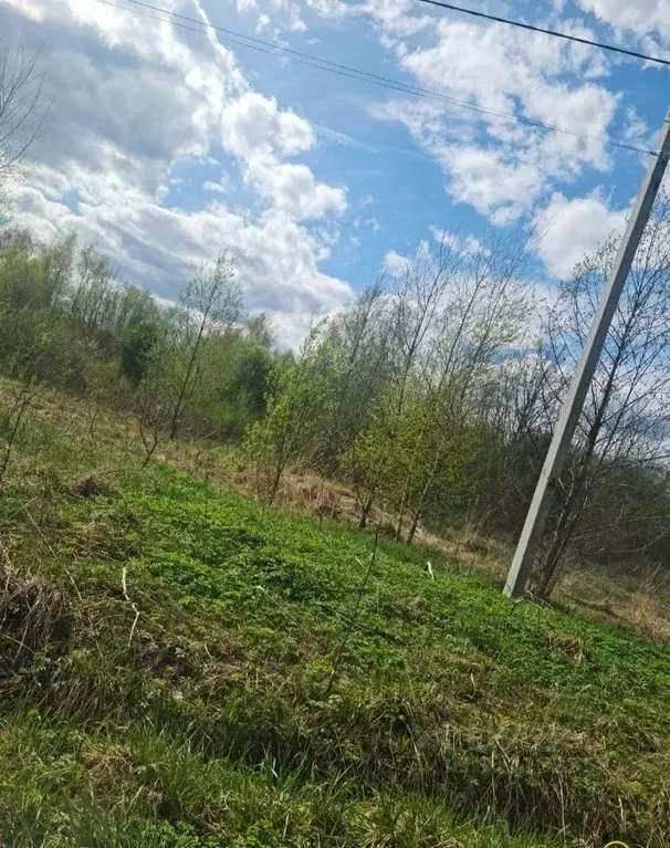 Участок в Ярославская область, Угличский район, Головинское с/пос, д. ... - Фото 1