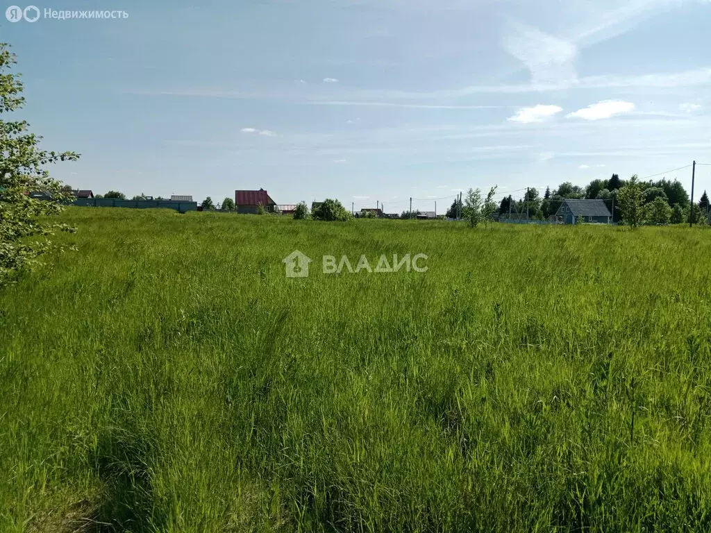 Участок в Вологодский муниципальный округ, деревня Мальгино (Подлесный ... - Фото 1