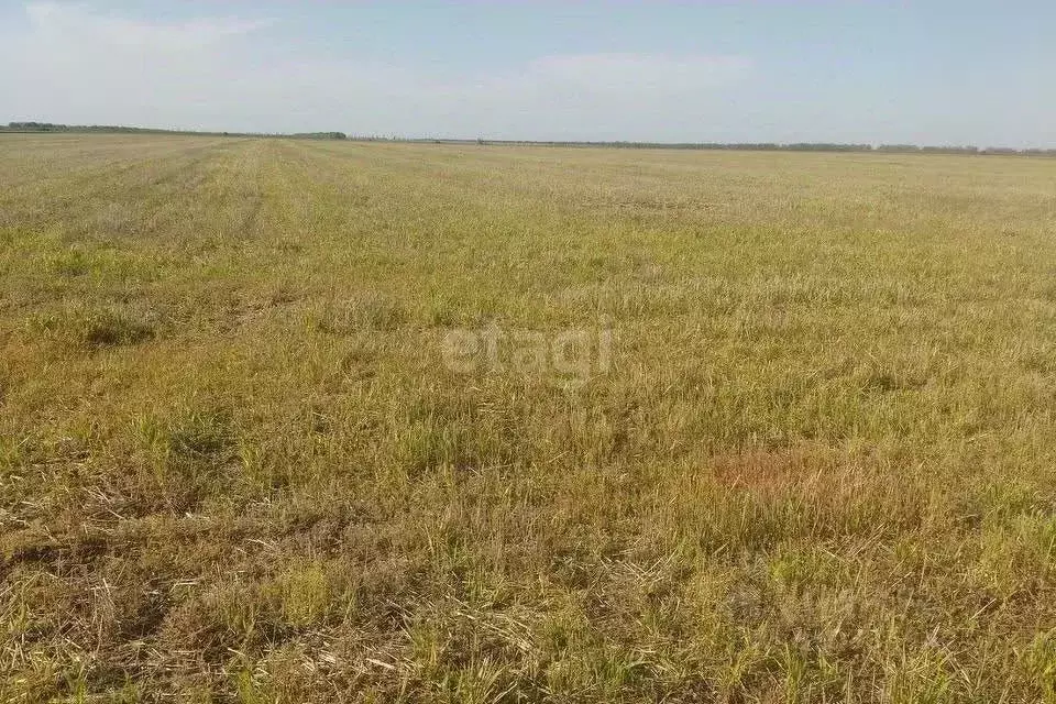 Участок в Липецкая область, Долгоруковский сельсовет, д. Екатериновка  ... - Фото 1