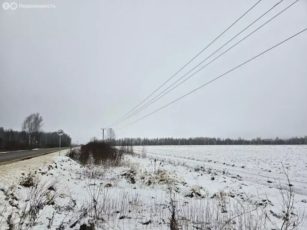 Участок в Дмитровский городской округ, дачный посёлок Раменье (6 м) - Фото 0