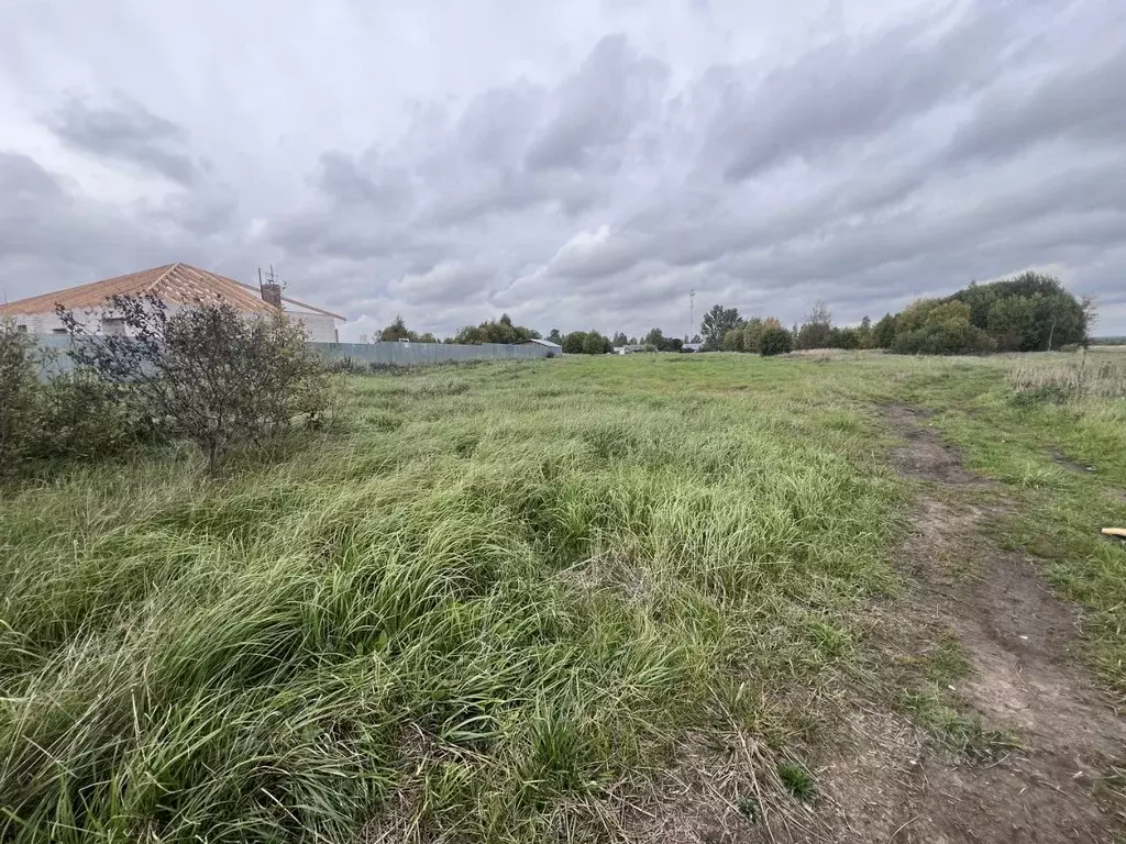 Участок в Владимирская область, Александровский муниципальный округ, ... - Фото 1