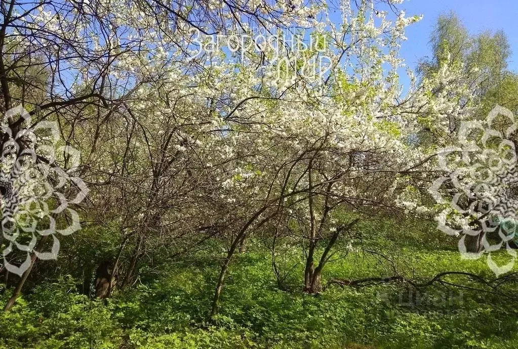 Участок в Московская область, Балашиха Салтыковка мкр, Октябрьская ул. ... - Фото 2