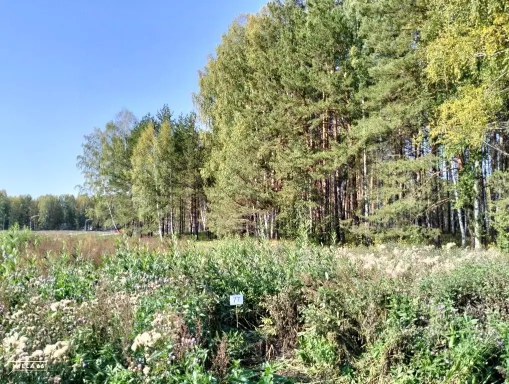 Участок в Свердловская область, Сысертский городской округ, пос. ... - Фото 0