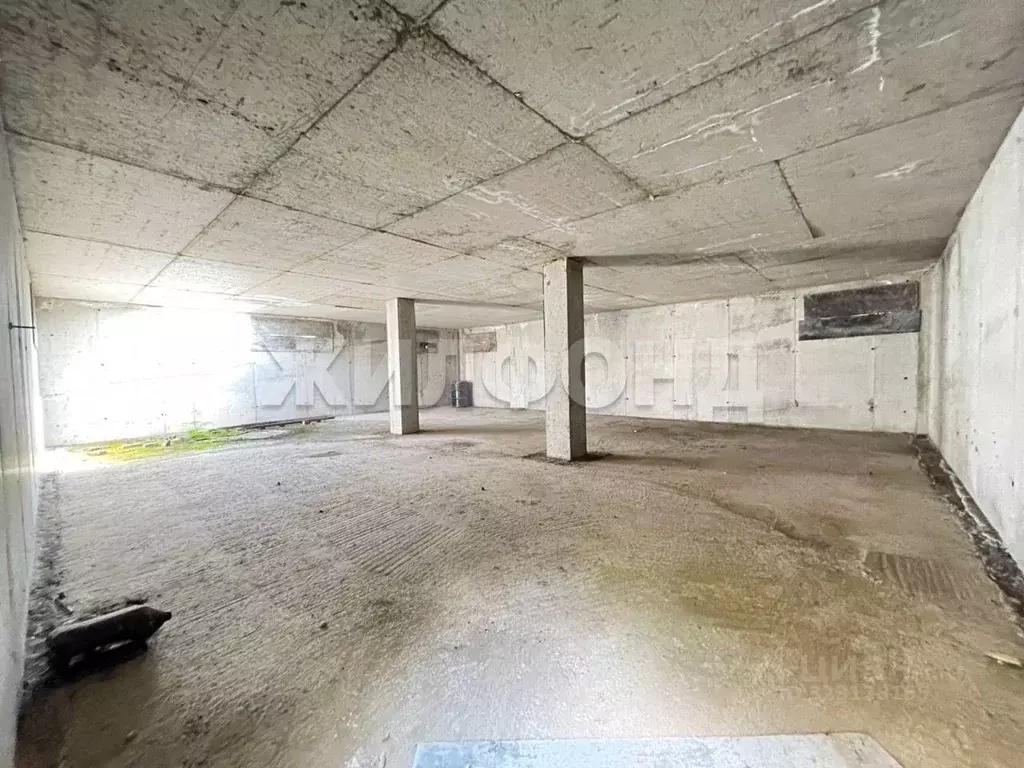 Участок в Новосибирская область, Новосибирский район, с. Боровое ул. ... - Фото 1